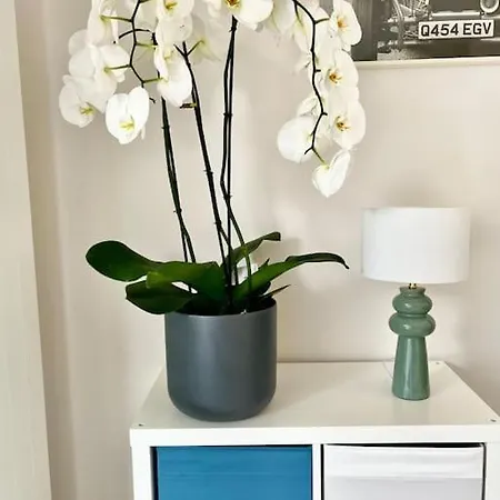 Daire Paradisiaques A La Deauville