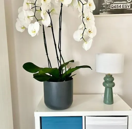 Apartamento Paradisiaques A La Deauville